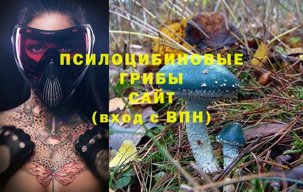 сатива Елабуга