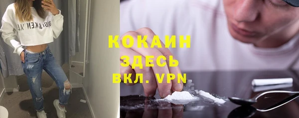 ALPHA-PVP Елизово