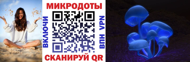 Псилоцибиновые грибы мицелий  Купить  Карабулак 