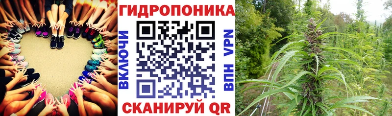 Бошки Шишки марихуана  Купить закладки  Карабулак 